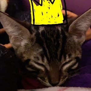 Meet your Posher, Marwa